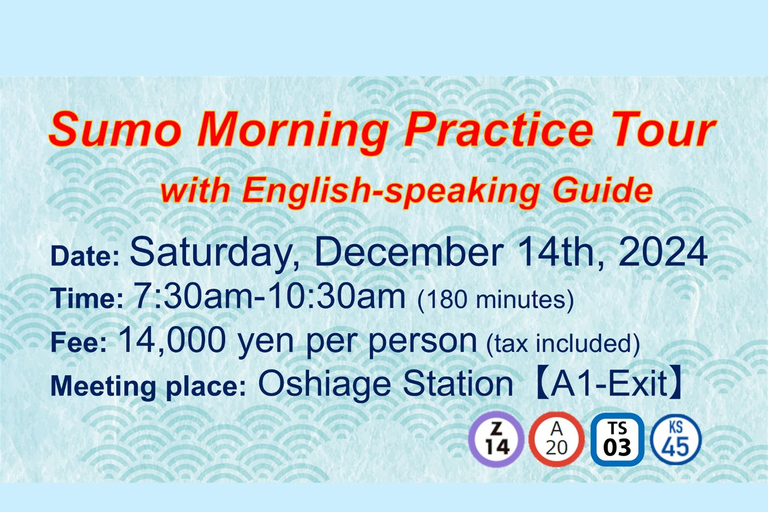 Sumo Morning Practice Tour with English-speaking Guide