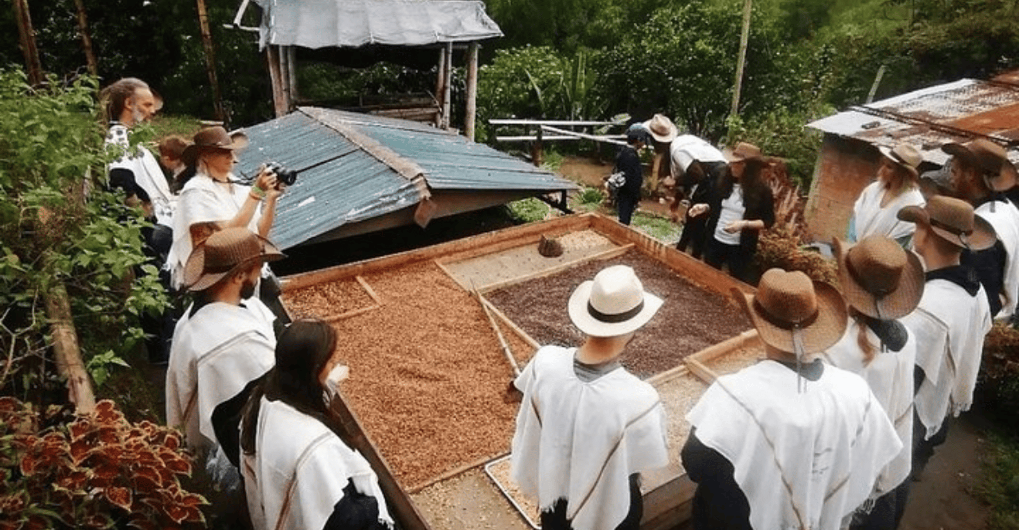 Salento en Cocora Tour + Coffee Farm van Pereira/Armenië - Housity