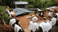 Salento and Cócora Tour + Coffee Farm from Pereira/Armenia - Housity