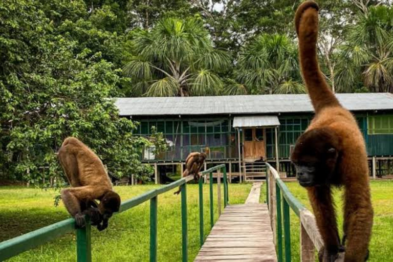 Combo: Iquitos Sightseeing Tour and Monkey Island in 2 Days Combo: Iquitos City Sightseeing Tour and Monkey Island in 2 Days