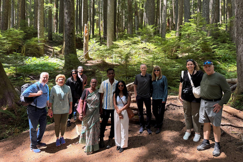 Seattle: City Highlights & Snoqualmie Falls Small-Group Tour Seattle City Highlights Tour