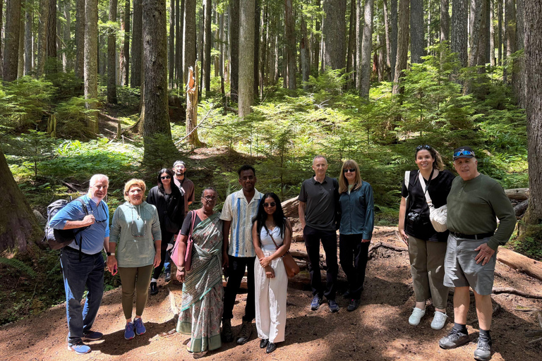 Seattle: City Highlights & Snoqualmie Falls Small-Group Tour Seattle City Highlights Tour