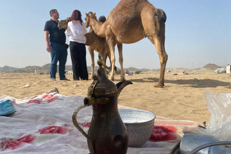 Jeddah or Mecca: Desert cooking class with a local dinner