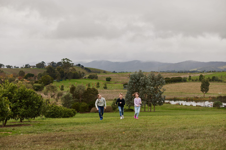 Puffing Billy Steam Train, Cherry Picking and Chocolate Tour