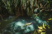 Marangu d'une journée - Housity