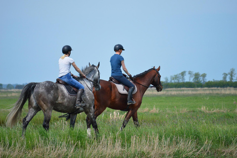 Quebec City: Mountain Trail Horseback Discovery Ride