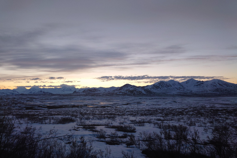 Authentical Denali Tour from Denali Park and Fairbanks