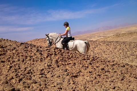 Au départ d'Hurghada : Lever de soleil sur la mer Rouge et randonnée équestre dans le désertHurghada : 2 heures de randonnée à cheval seulement