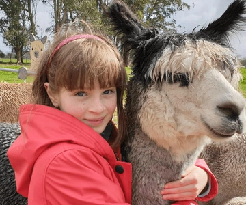 Tour clássico de alpaca na Nova Zelândia