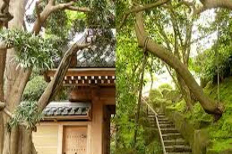 Tokyo: 2-Day Guided Tour with Kamakura & Hotel Pickup