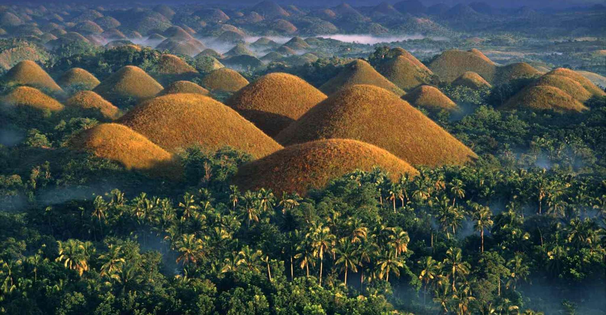 Bohol Tour de campagne avec Loboc (Buffet déjeuner) - Hizvo