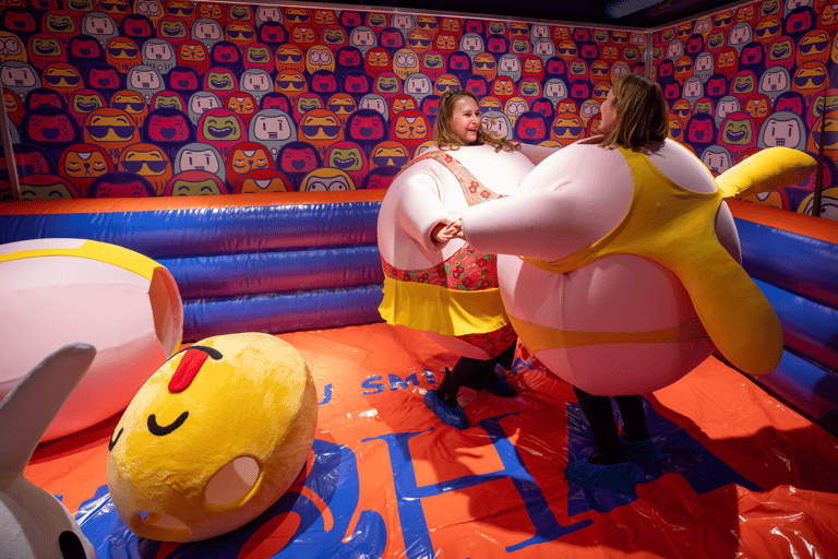 HaHaHouse Museum Entry Ticket