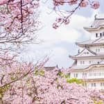 Da Osaka: tour di 1 giorno al Castello di Himeji, all'Arima Onsen e al Monte Rokko