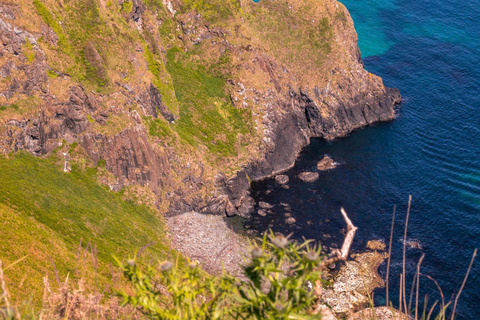 Belfast: Giant’s Causeway & Coast Tour Belfast: Giant’s Causeway, Castles & Waterfalls Tour