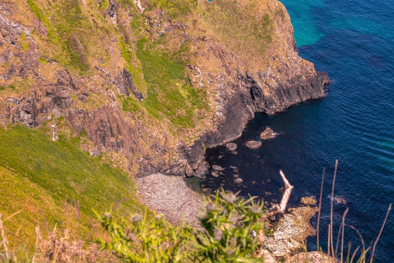 Belfast: Giant’s Causeway & Coast Tour Belfast: Giant’s Causeway, Castles & Waterfalls Tour