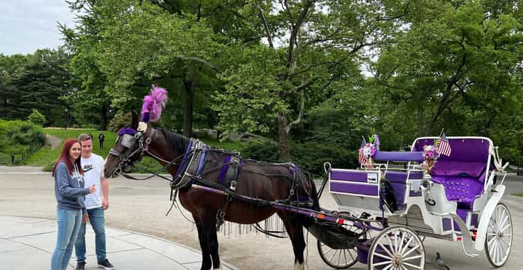 Horse and Carriage ride at Rice Park with The Saint Paul Hotel in the  background. Photo by The Saint Paul Ho…