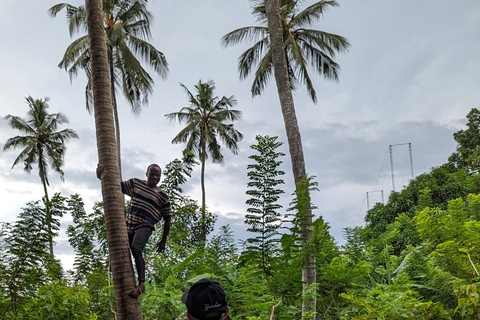 Zanzibar: Africa's Paradises Full Sightseeing Package Tours Spice Farm & Village Tour, Prison Island & Stone Town Walks