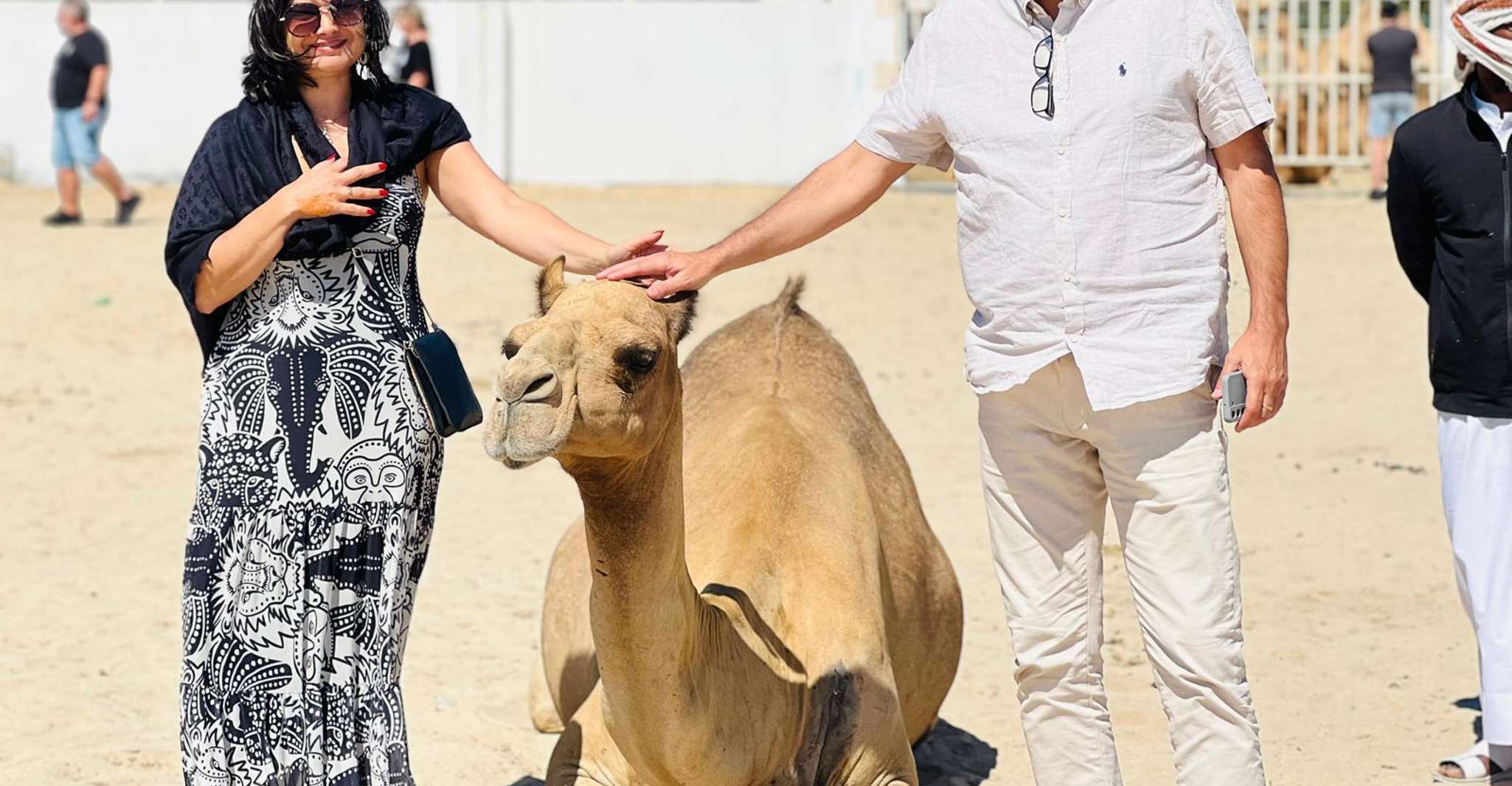 Bahrain in a Day from City Lights to Desert Landscapes photo 7