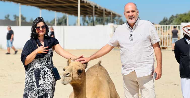 Bahrain in a Day from City Lights to Desert Landscapes photo 7