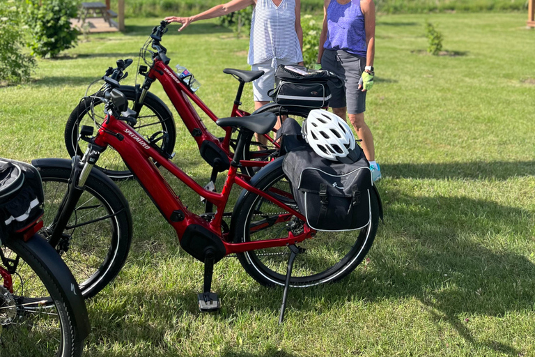 Niagara Benchlands: Ebike Tour with Wine Tastings
