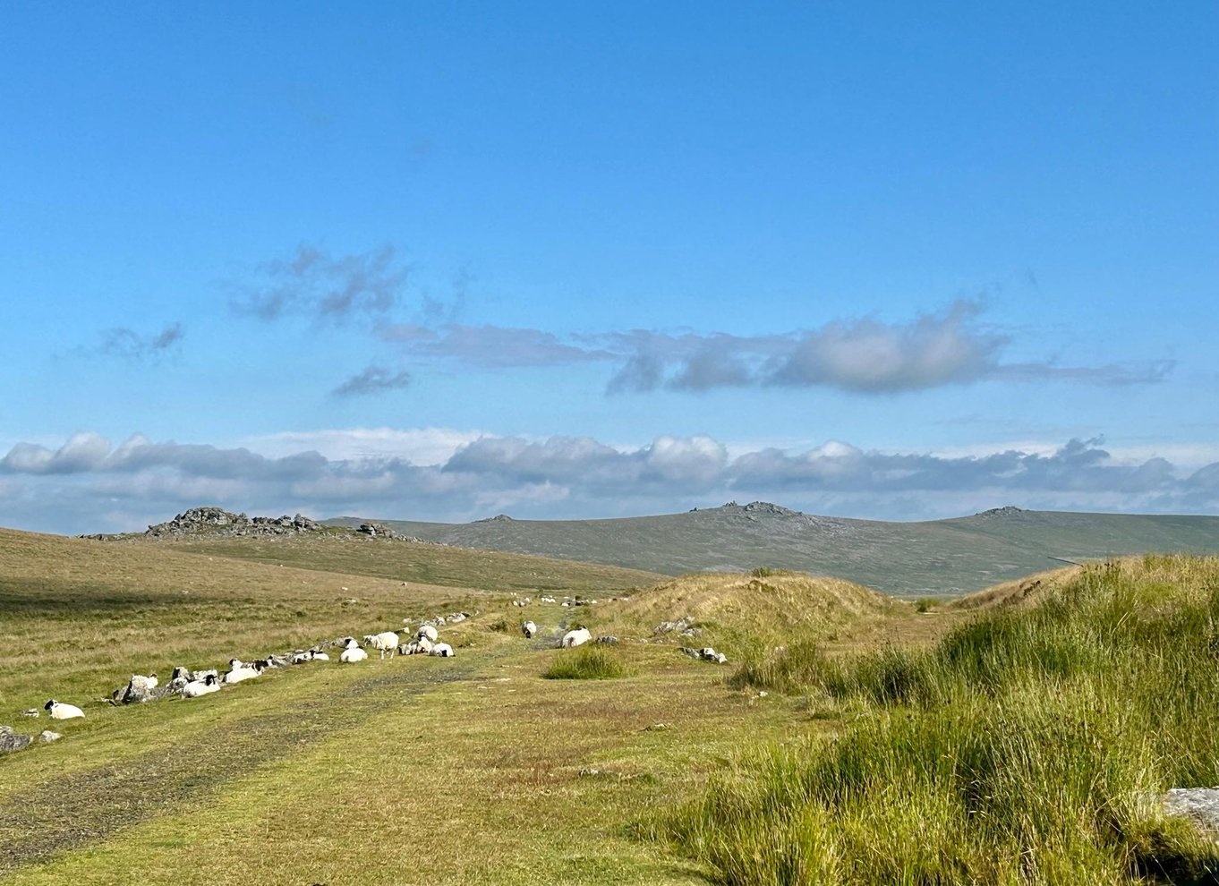 Dartmoor: Guidede byvandringer