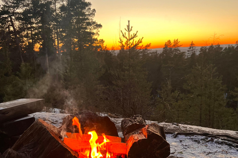 Oslo: Forest Hike with Panoramic Fjord Views and a dog