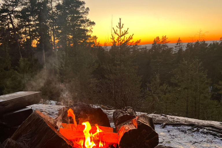 Oslo: Forest Hike with Panoramic Fjord Views and a dog