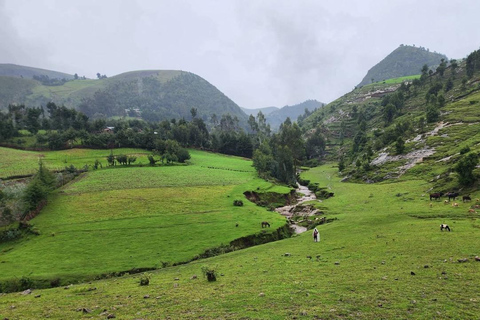 Addis Ababa: Menagesha Suba Forest Park Day Trip