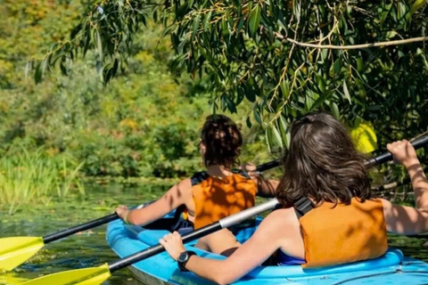 Bentota: Guided River Kayaking Tour with Refreshments