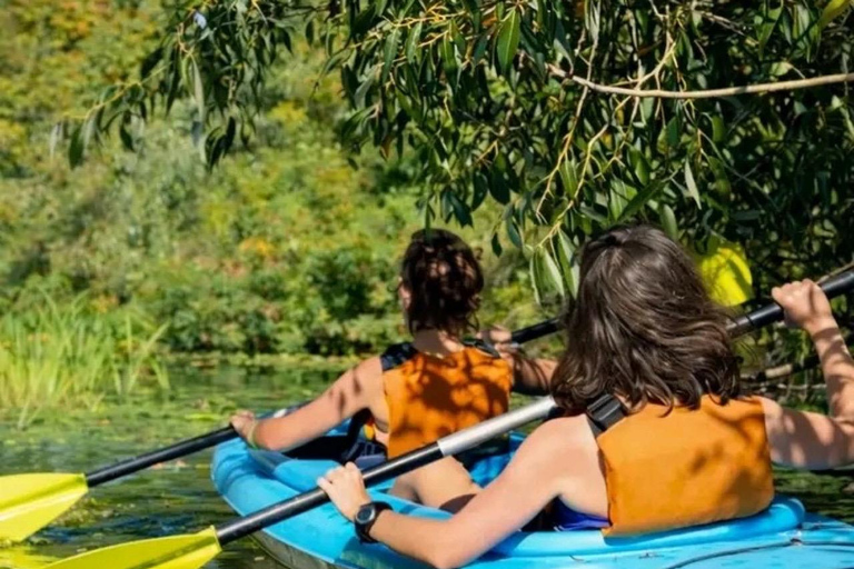Bentota: Guided River Kayaking Tour with Refreshments