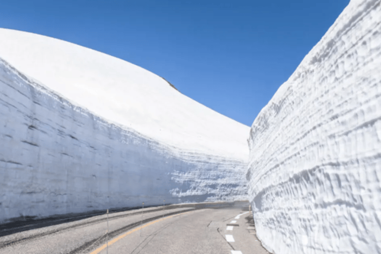 Shirakawago &Hida & Takayama SnowWall 2Days Tour from Nagoya