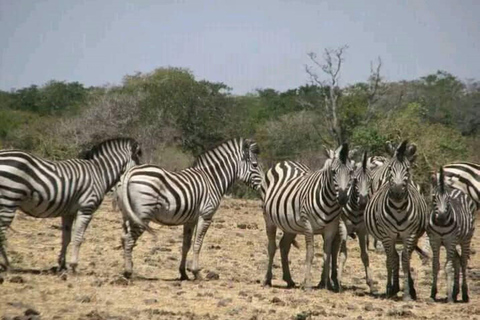 3-Day Livingstone & Chobe Safari Experience with Luxury Stay