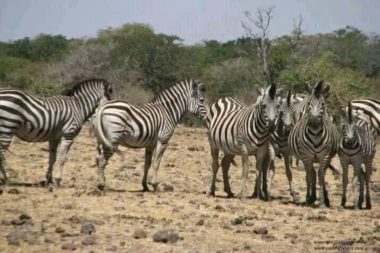 3-Day Livingstone & Chobe Safari Experience with Luxury Stay
