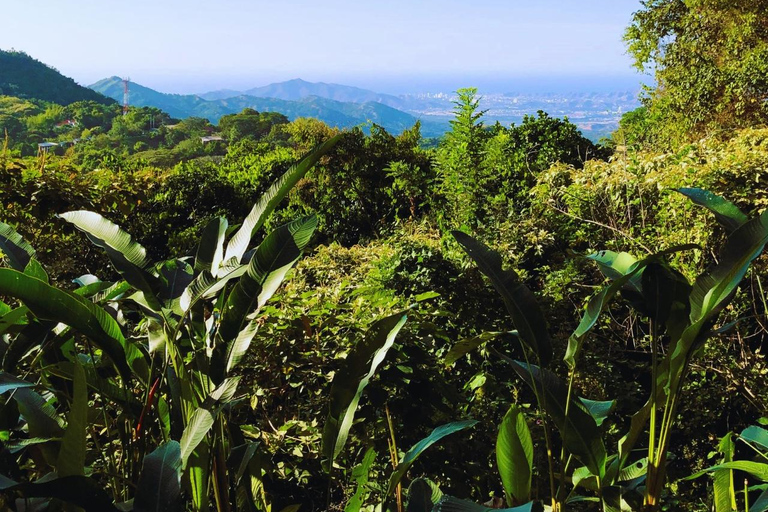 Expedición Caminos Indígenas y Ancestrales en Minca + Cascadas + Cacao