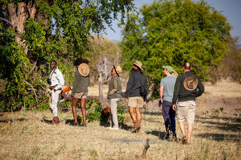 Victoria Falls: Game Walk in the Zambezi National Park Afternoon Game Walk