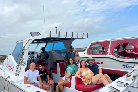 Maputo: Whale Watching, Day Trip