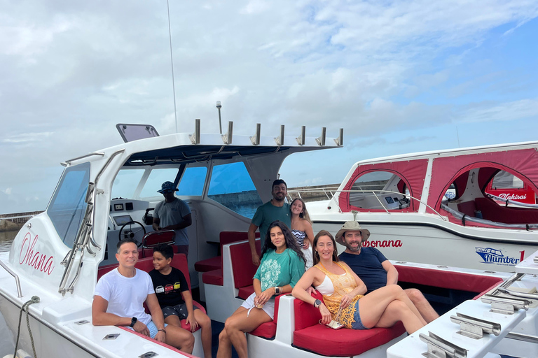 Maputo: Whale Watching, Day Trip