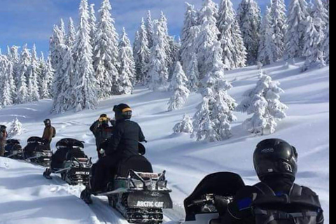 Excursión de Aventura en Motos de Nieve por los Cárpatos