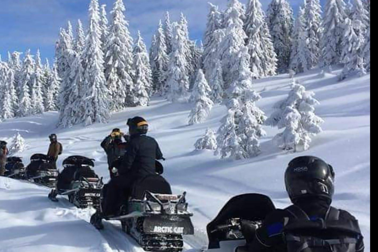 Excursión de Aventura en Motos de Nieve por los Cárpatos