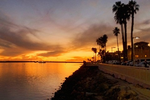 Venice Beach et Marina Del Rey : Une visite panoramique et une séance photo