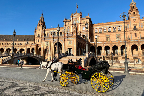 Private Horse-Drawn Carriage Ride in Seville