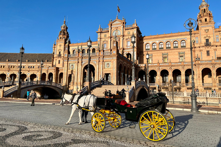 Private Horse-Drawn Carriage Ride in Seville