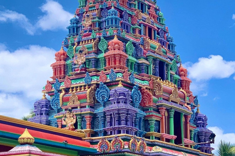 Nadi: Private Tour with Temple, Garden, Markets & Mud Pools