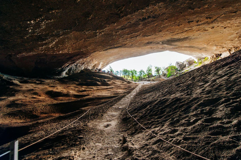 Punta Arenas: Pełny dzień Torres del Paine + Jaskinia Milodon