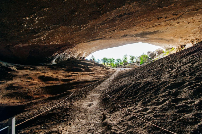 Punta Arenas: Pełny dzień Torres del Paine + Jaskinia Milodon