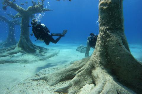 Ayia Napa: MUSAN Dives For Beginners - 2 persons - 2 Dives