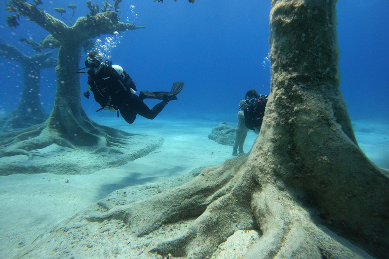 Ayia Napa: MUSAN Dives For Beginners - 2 persons - 2 Dives