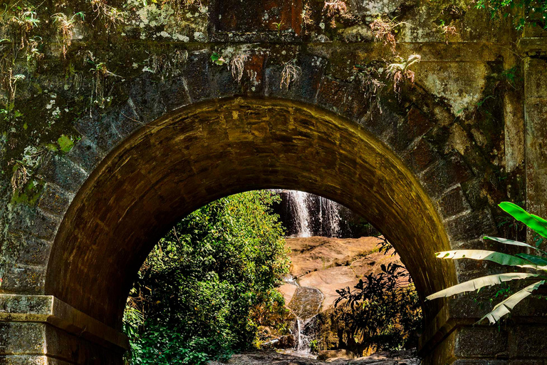 Rio de Janeiro: Tijuca National Park & Botanic Garden Tour