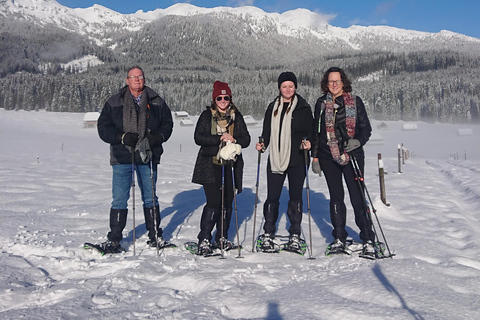 From Ljubljana/Bled: Beginner Snowshoe in Julian Alps From Bled - pickup at your accommodation