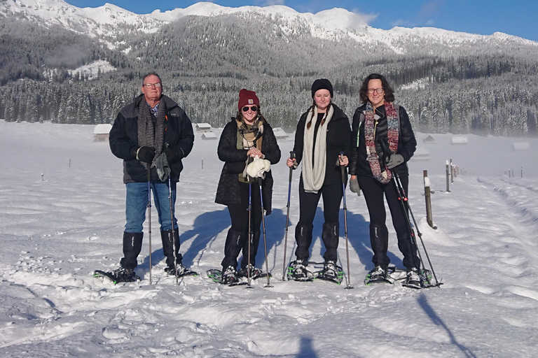 From Ljubljana/Bled: Beginner Snowshoe in Julian Alps From Bled - pickup at your accommodation